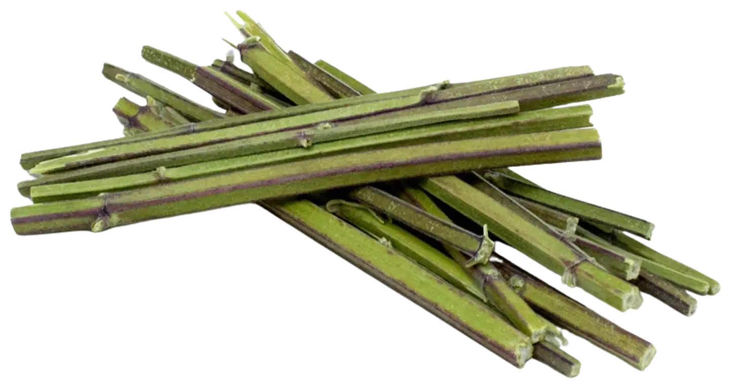 Viksu kissanminttutikut 6g - 2