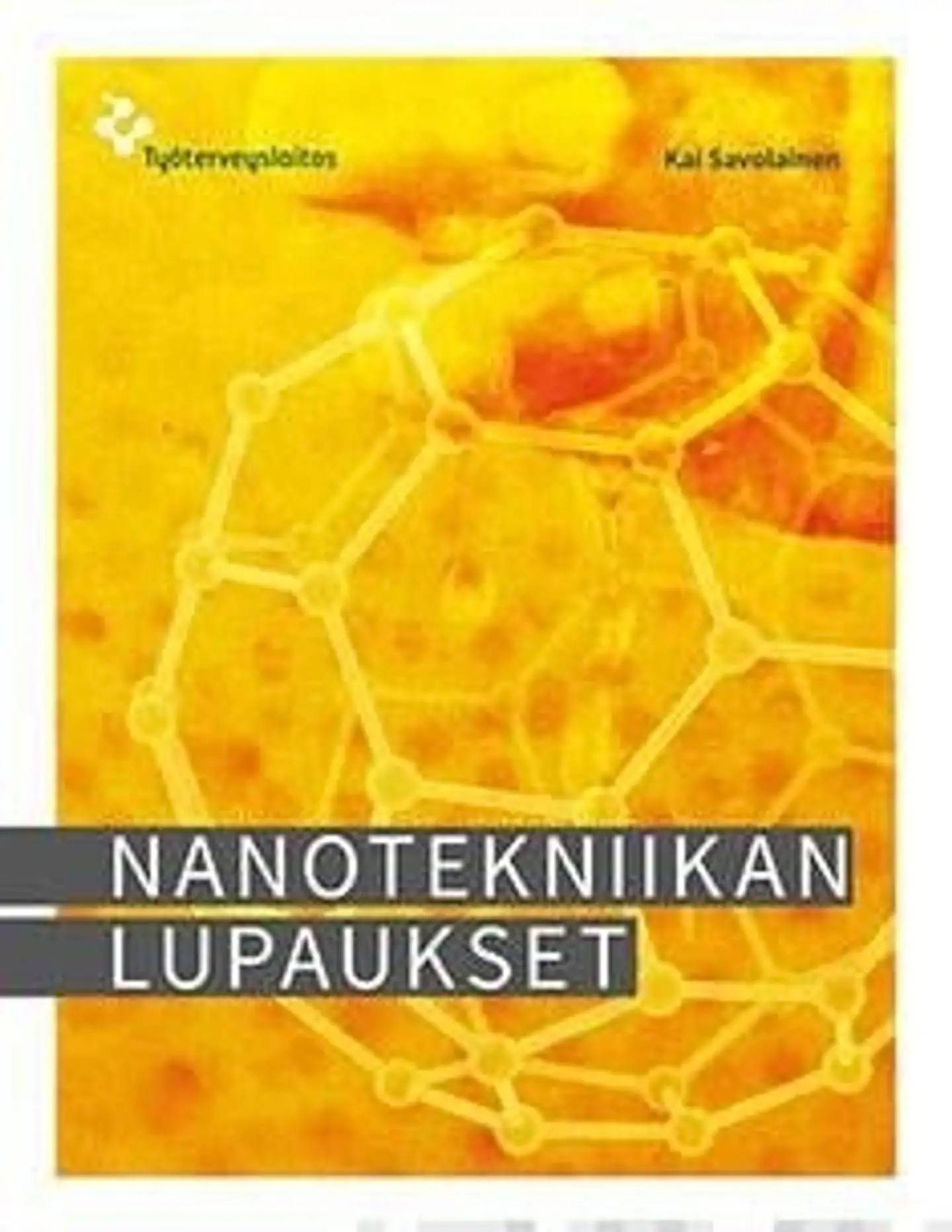 Savolainen, Nanotekniikan lupaukset