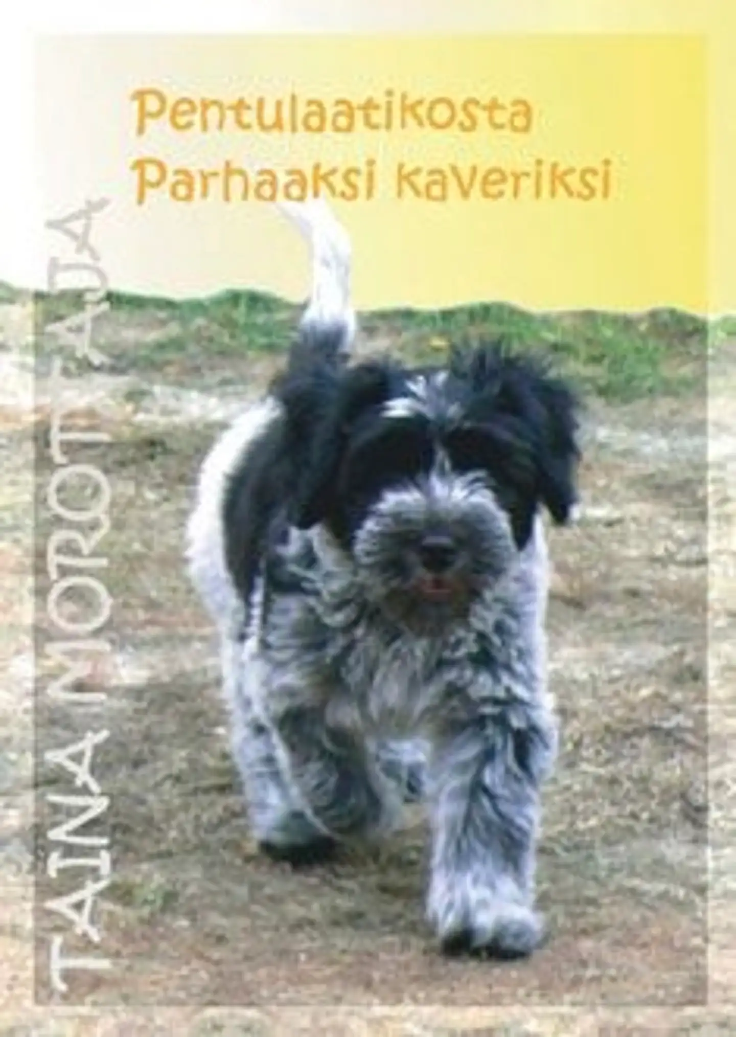 Morottaja, Pentulaatikosta parhaaksi kaveriksi