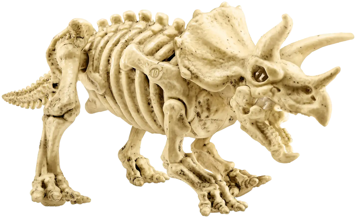 Robo Alive Fossil Find Amber Adventure - 7