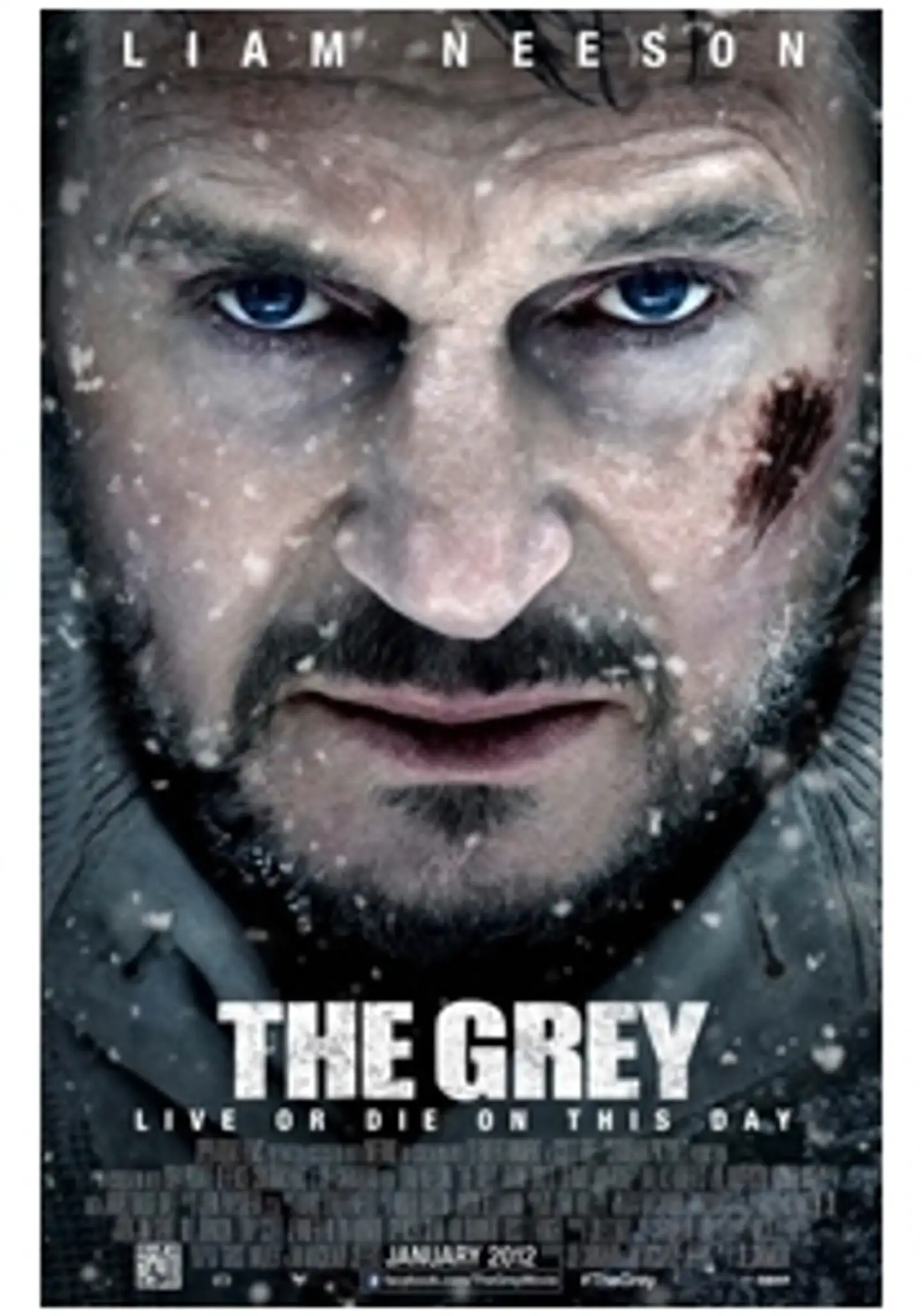 The Grey - Suden hetki