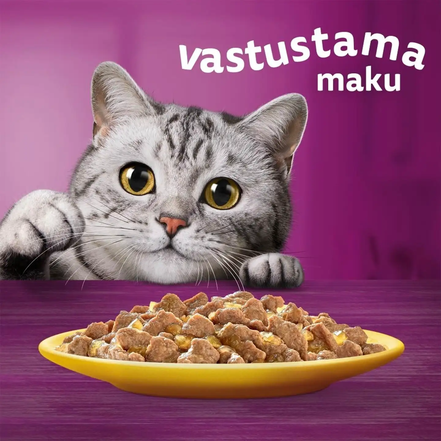 Whiskas 1+ sis. Kanaa hyytelössä (85 g) - 4