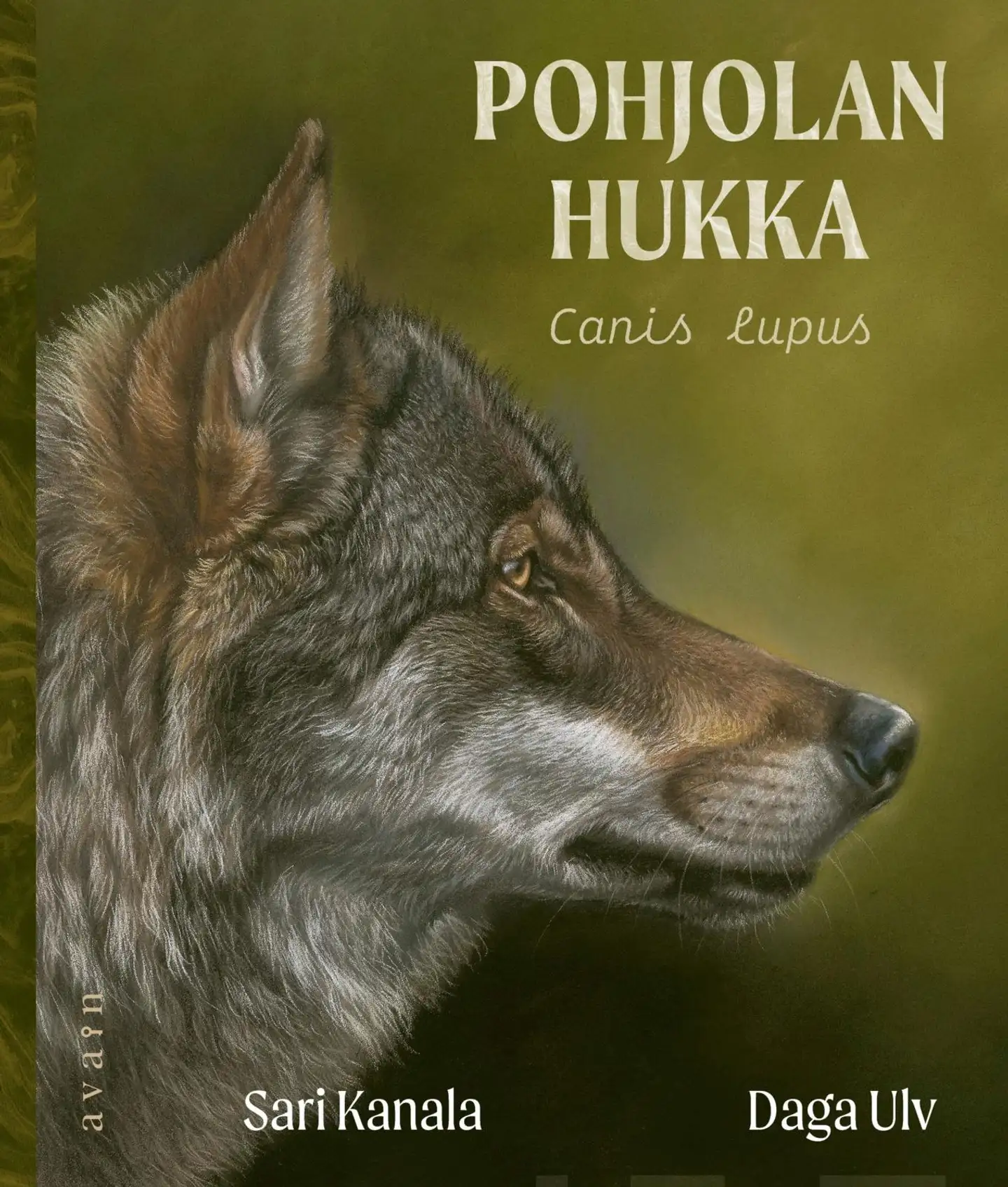 Kanala, Pohjolan hukka - Canis lupus