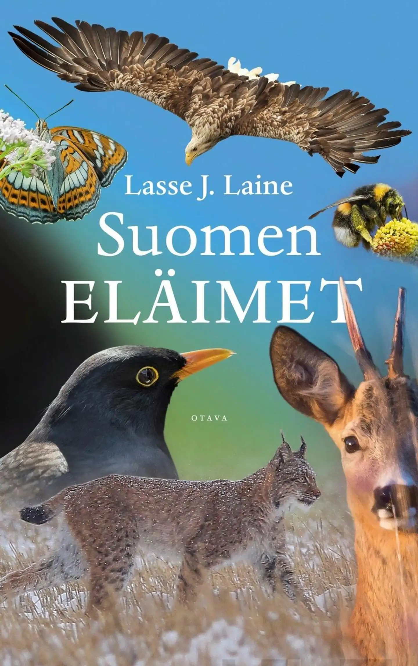 Laine, Suomen eläimet