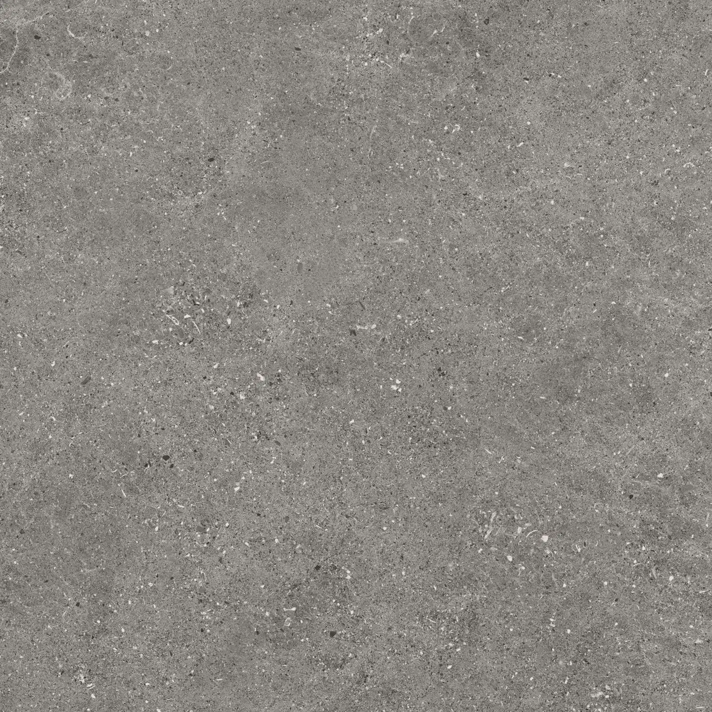 Lattialaatta Kalksten Smoke 60 x 60 cm