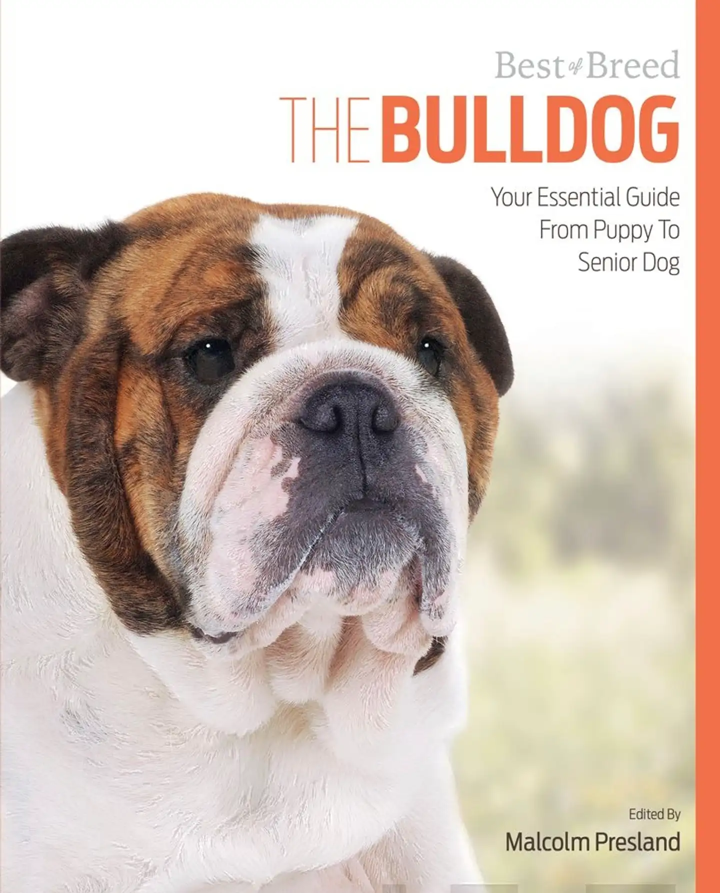 Presland, The Bulldog - Your Essential Guide From Puppy to Senior Dog