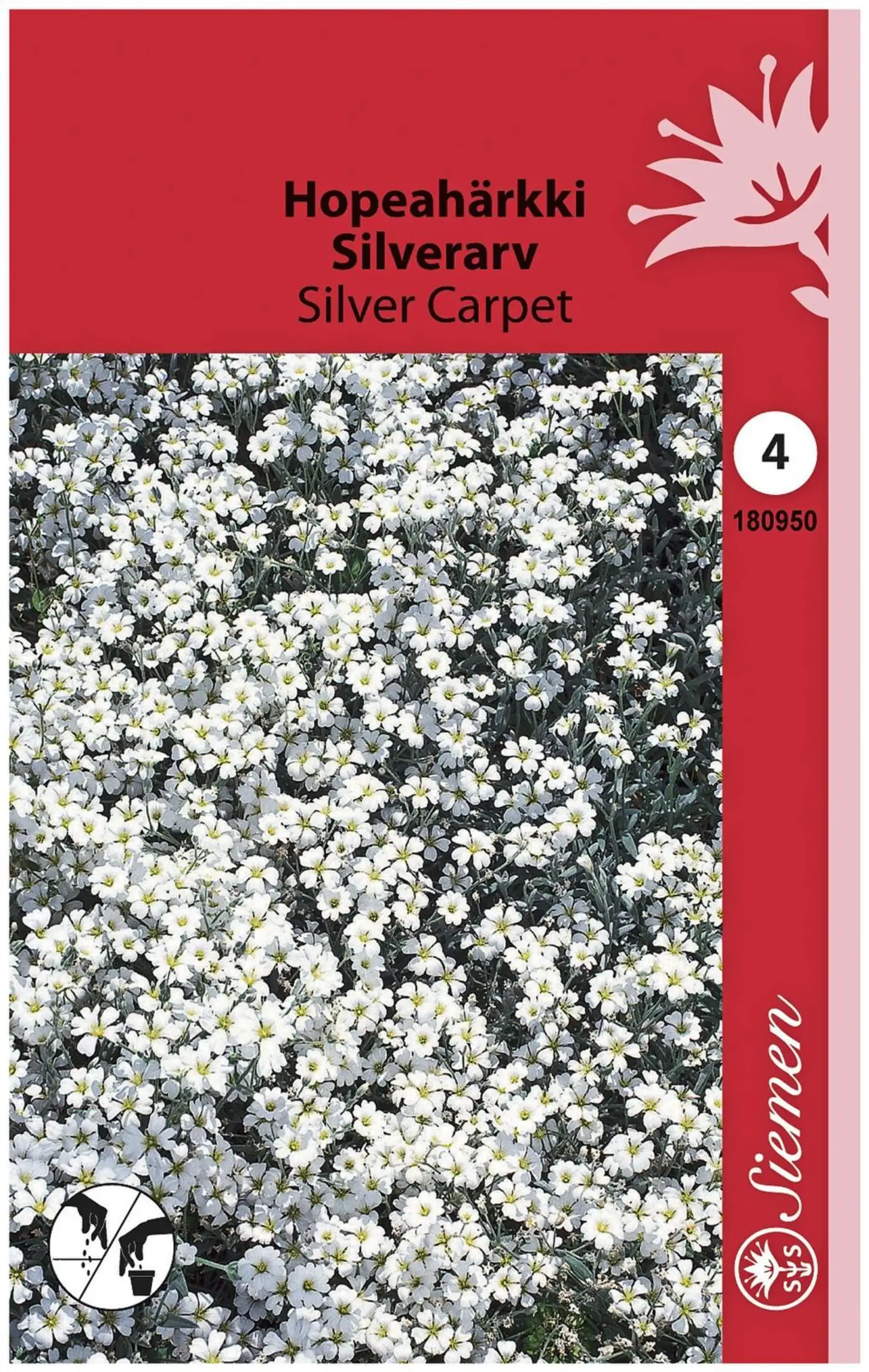 Hopeahärkki Silver Carpet