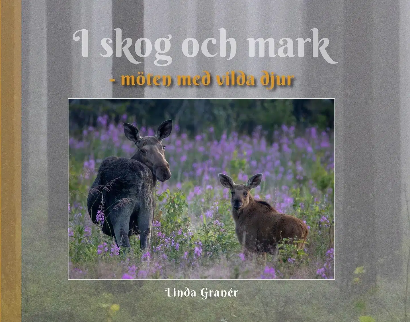 Granér, I skog och mark - möten med vilda djur
