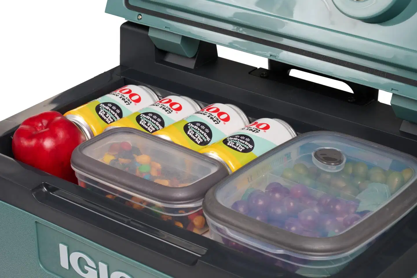 Igloo termosähköinen kylmälaukku pyörillä IE42R ACDC, tilavuus 42l, vihreä - 15