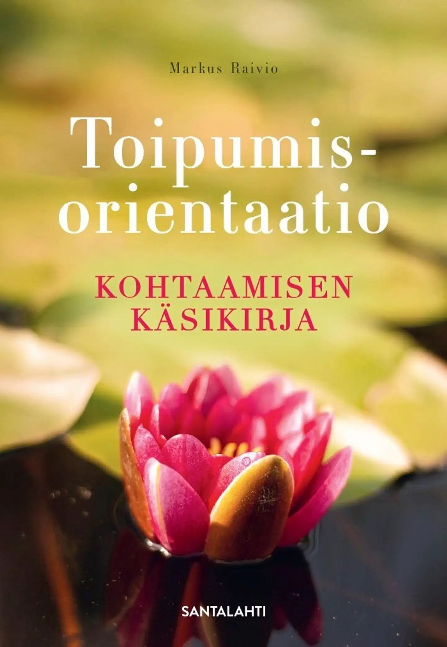 Raivio, Toipumisorientaatio - Kohtaamisen käsikirja