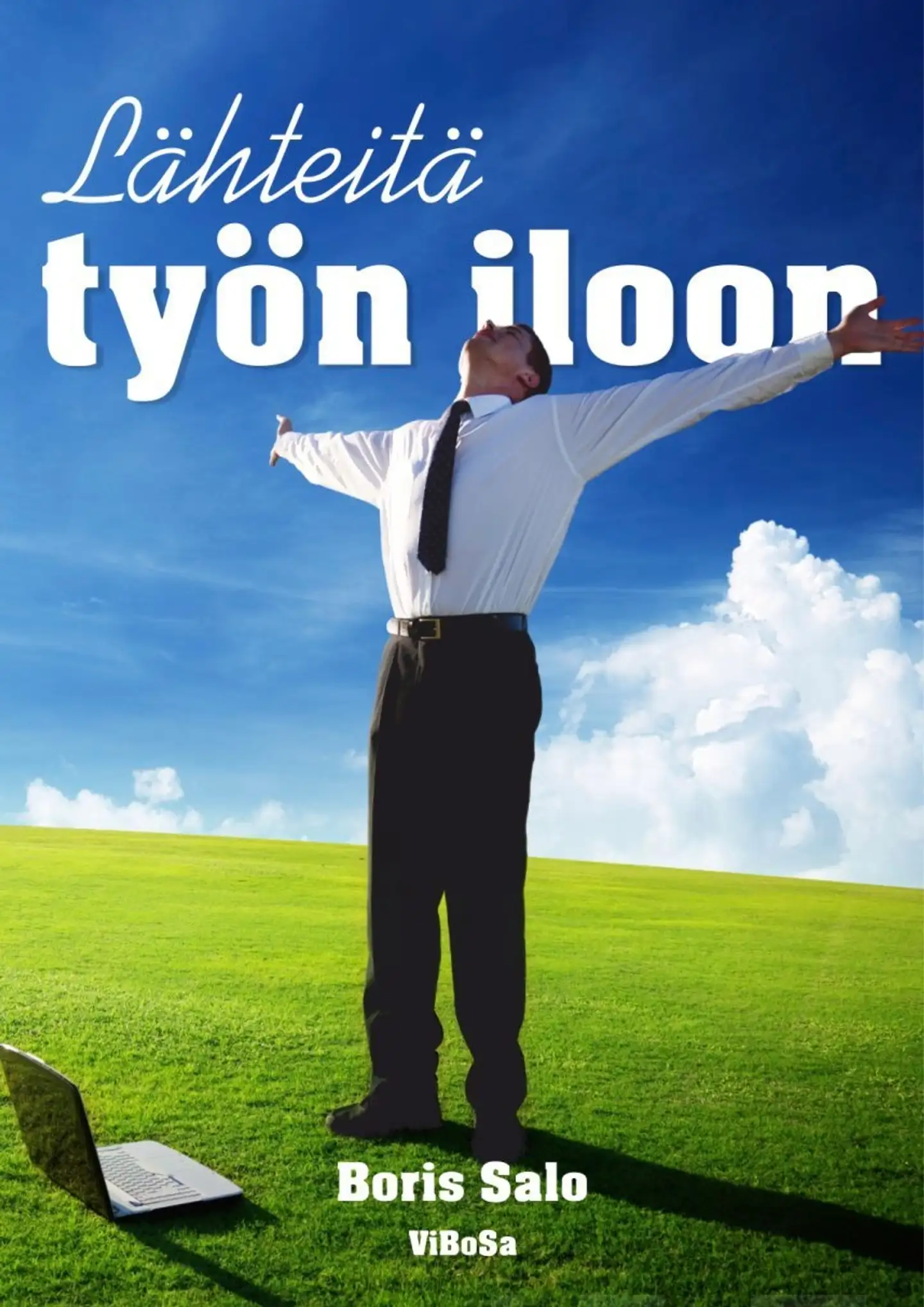 Salo, Lähteitä työn iloon