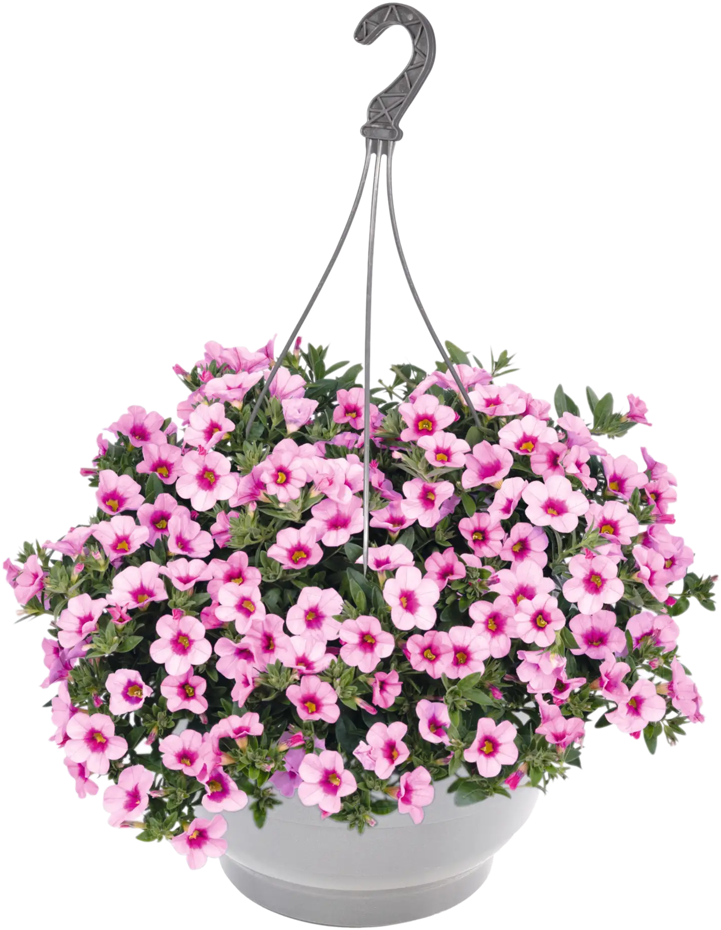 Miljoonakelloamppeli 23 cm - 1