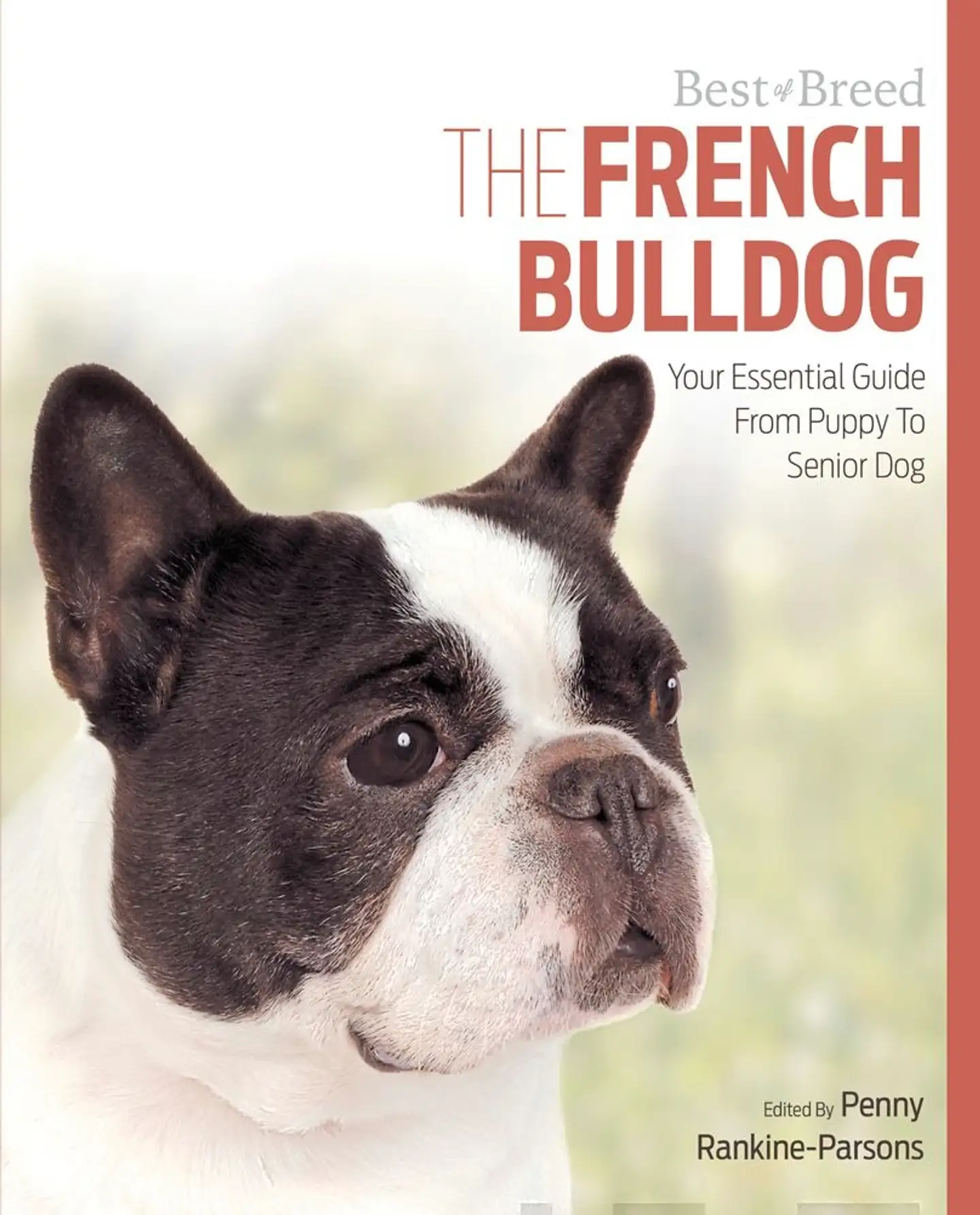 Rankine-Parsons, The French Bulldog - Your Essential Guide From Puppy to Senior Dog
