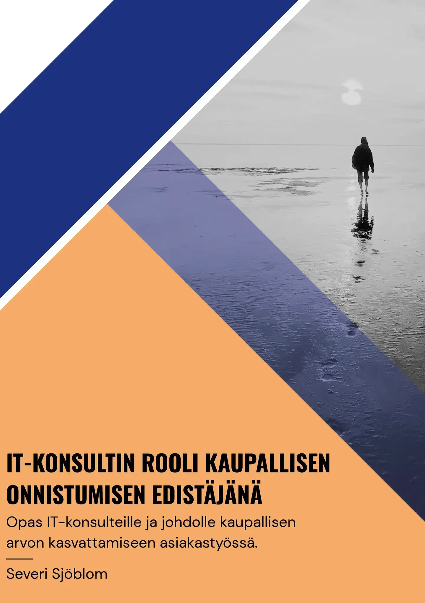 Sjöblom, Opas: It-konsultin rooli kaupallisen onnistumisen edistäjänä