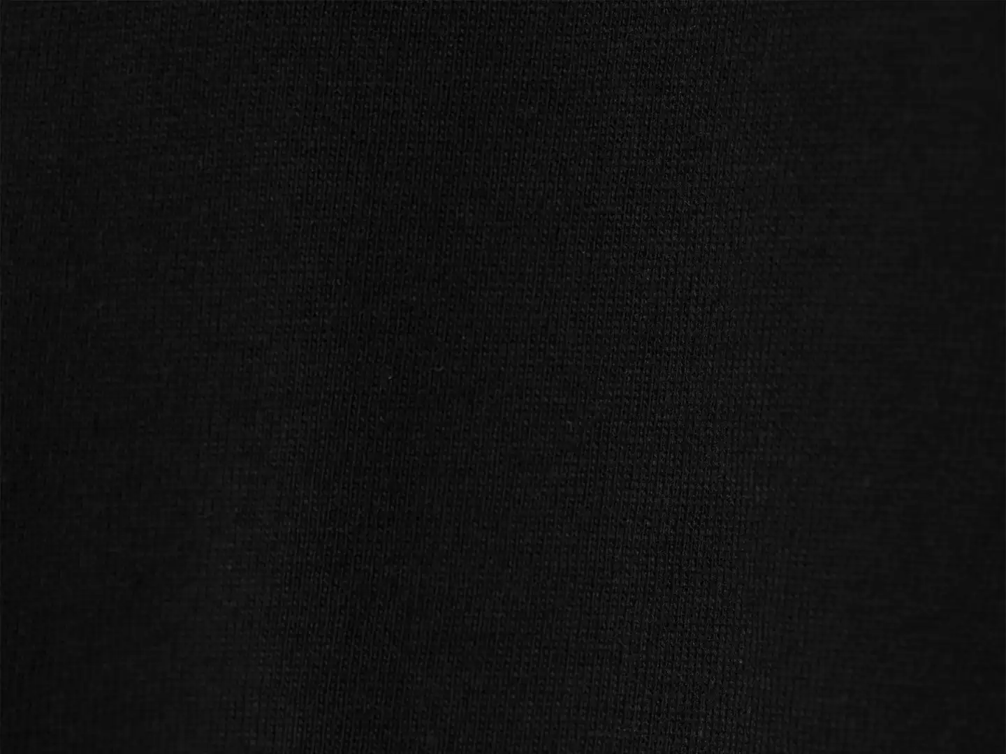 House miesten T-paita 195HNOS3 - BLACK - 5