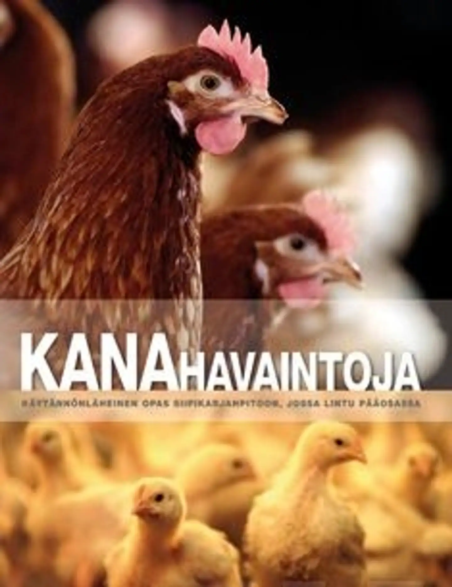 Bestman, Kanahavaintoja