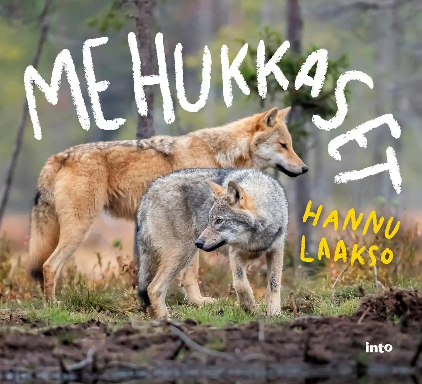 Laakso, Me Hukkaset