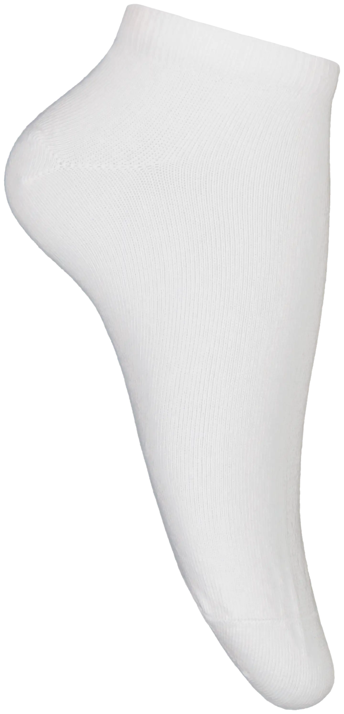 House naisten sneakersukat Raitasydän 5-pack - White/black stripes - 5