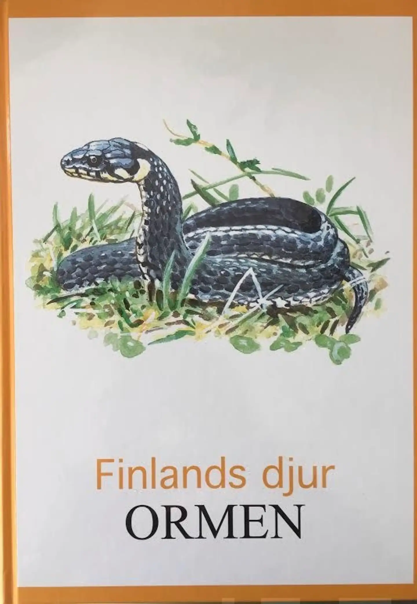 Leppäniemi, Ormen