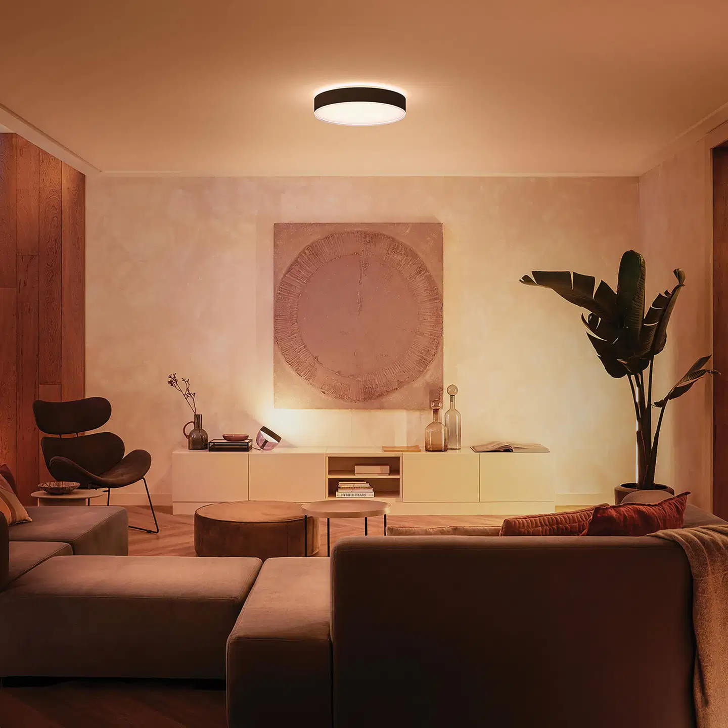 Philips Hue Enrave -kattovalaisin 48W 2200-6500K 6100LM XL musta - 9