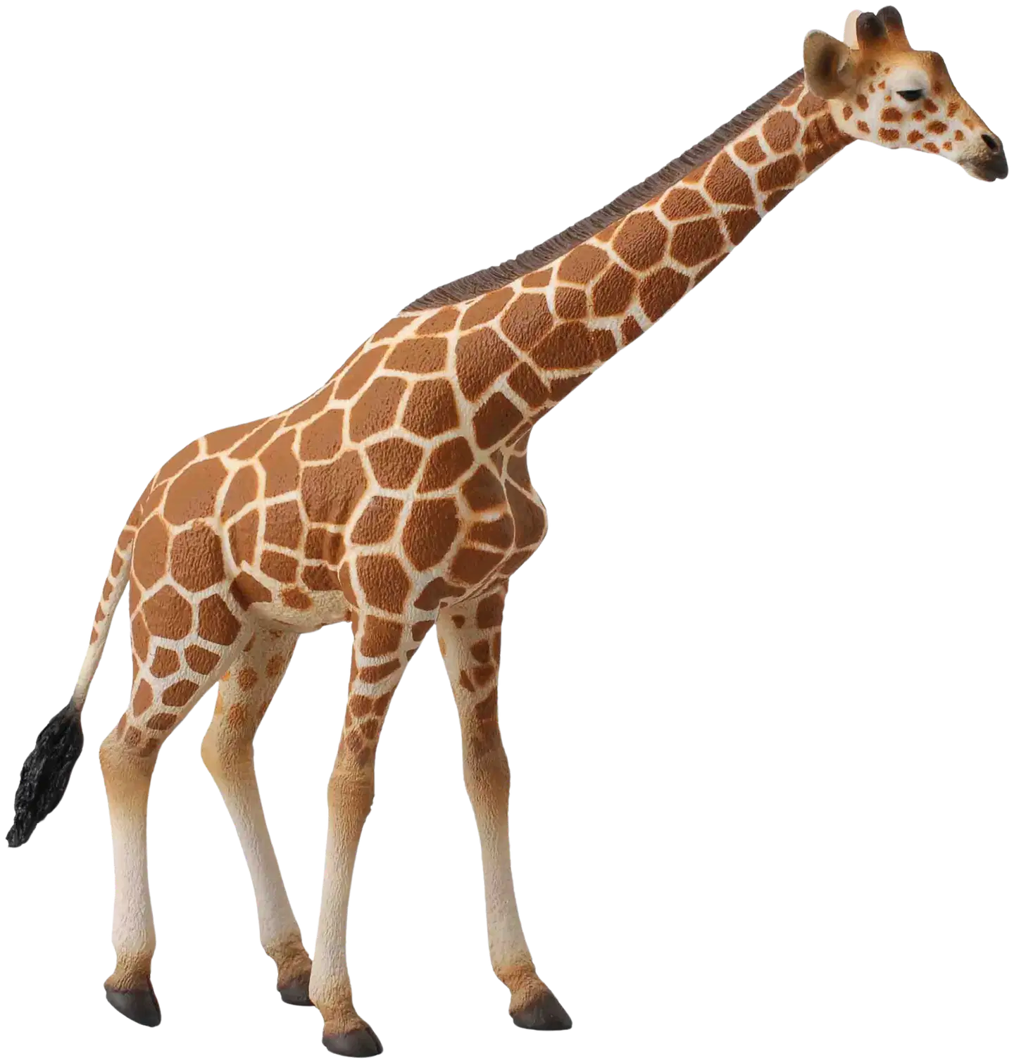 CollectA lelu Kirahvi XL