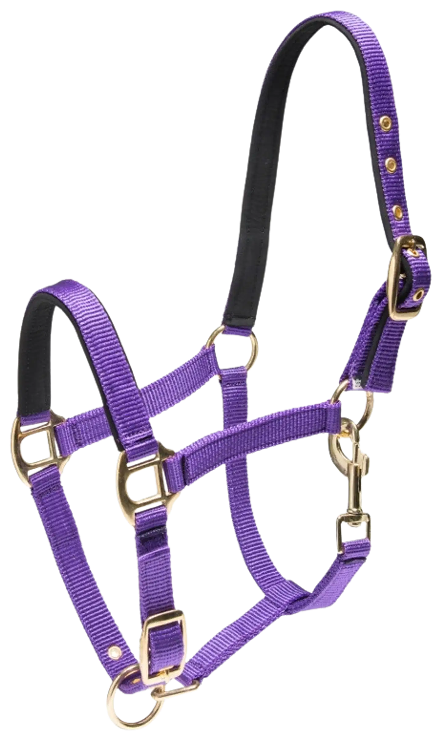 Wahlsten riimu shetlanninponille - Lila