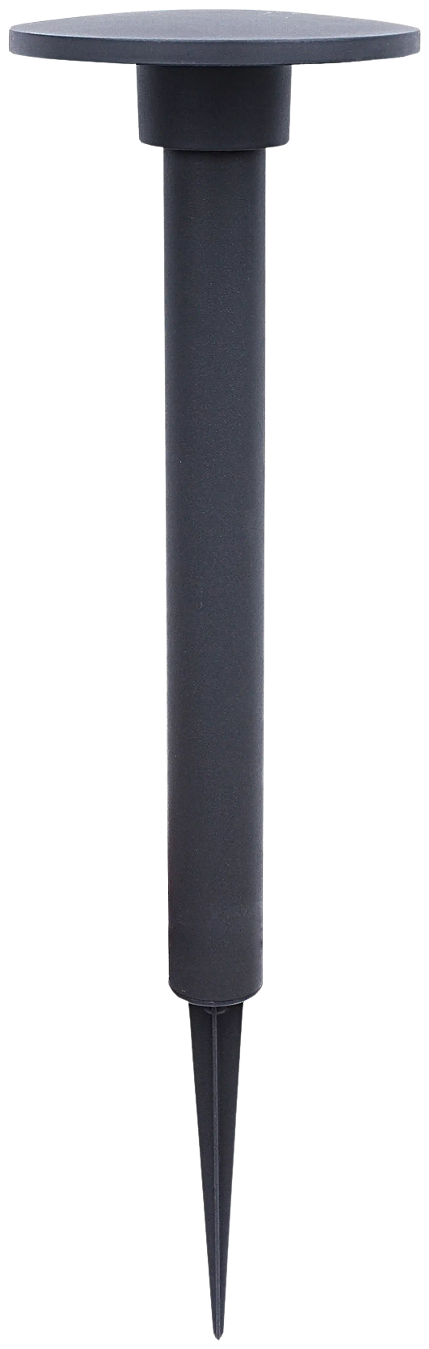LightsOn pollari Orbit - 2