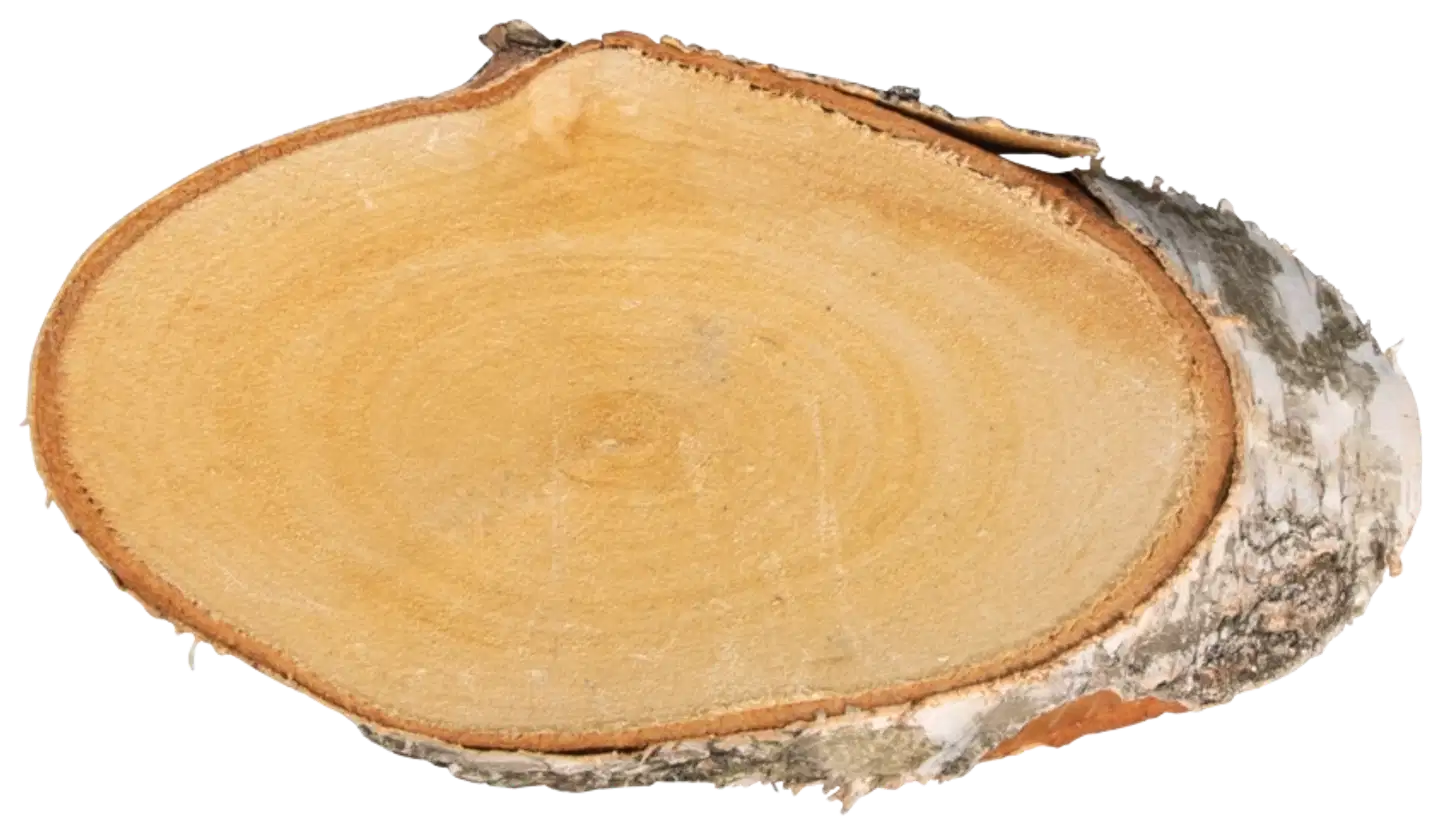 Rayher Hobby koivuviipale soikea naturaalinen, korkeus 21-23cm x 10cm x 2cm, laukku 1kpl - 1