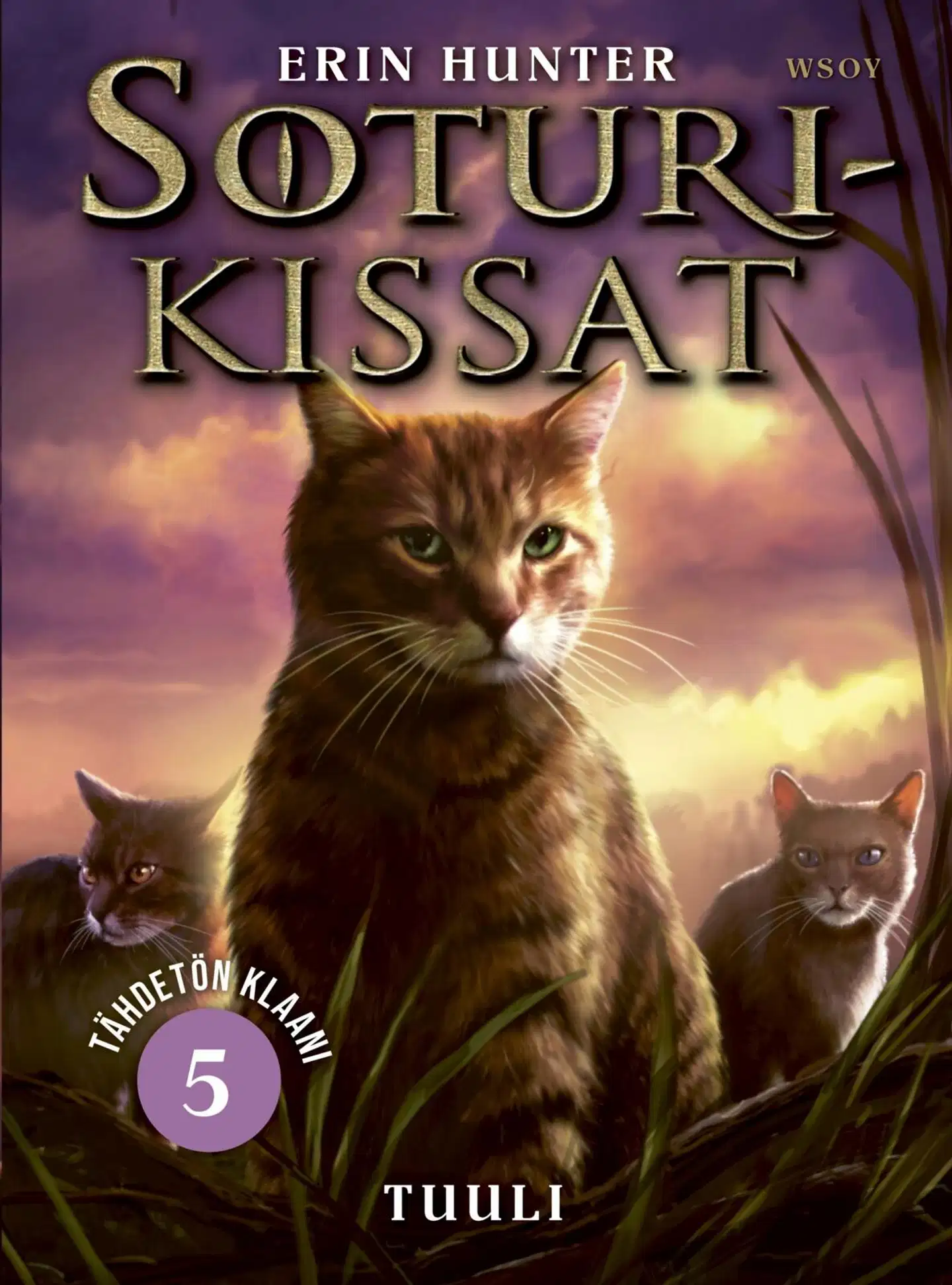 Hunter, Soturikissat: Tähdetön klaani 5: Tuuli