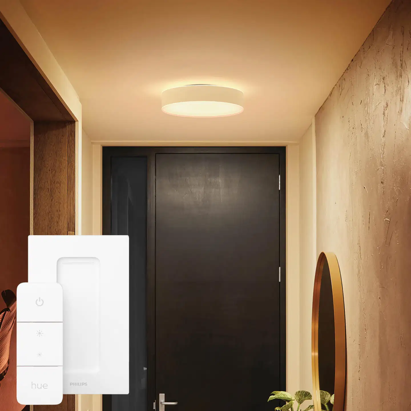 Philips Hue Enrave -kattovalaisin 19W 2200-6500K 2450LM keskikoko valkoinen - 9