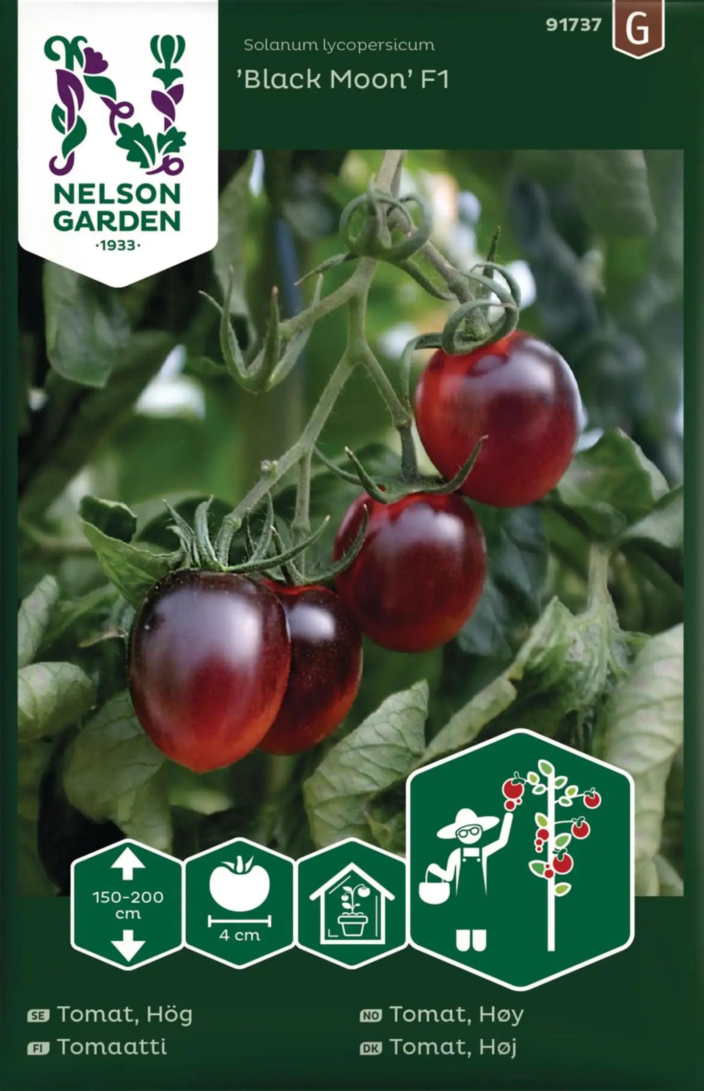 Nelson Garden Tomaatti, Black Moon F1