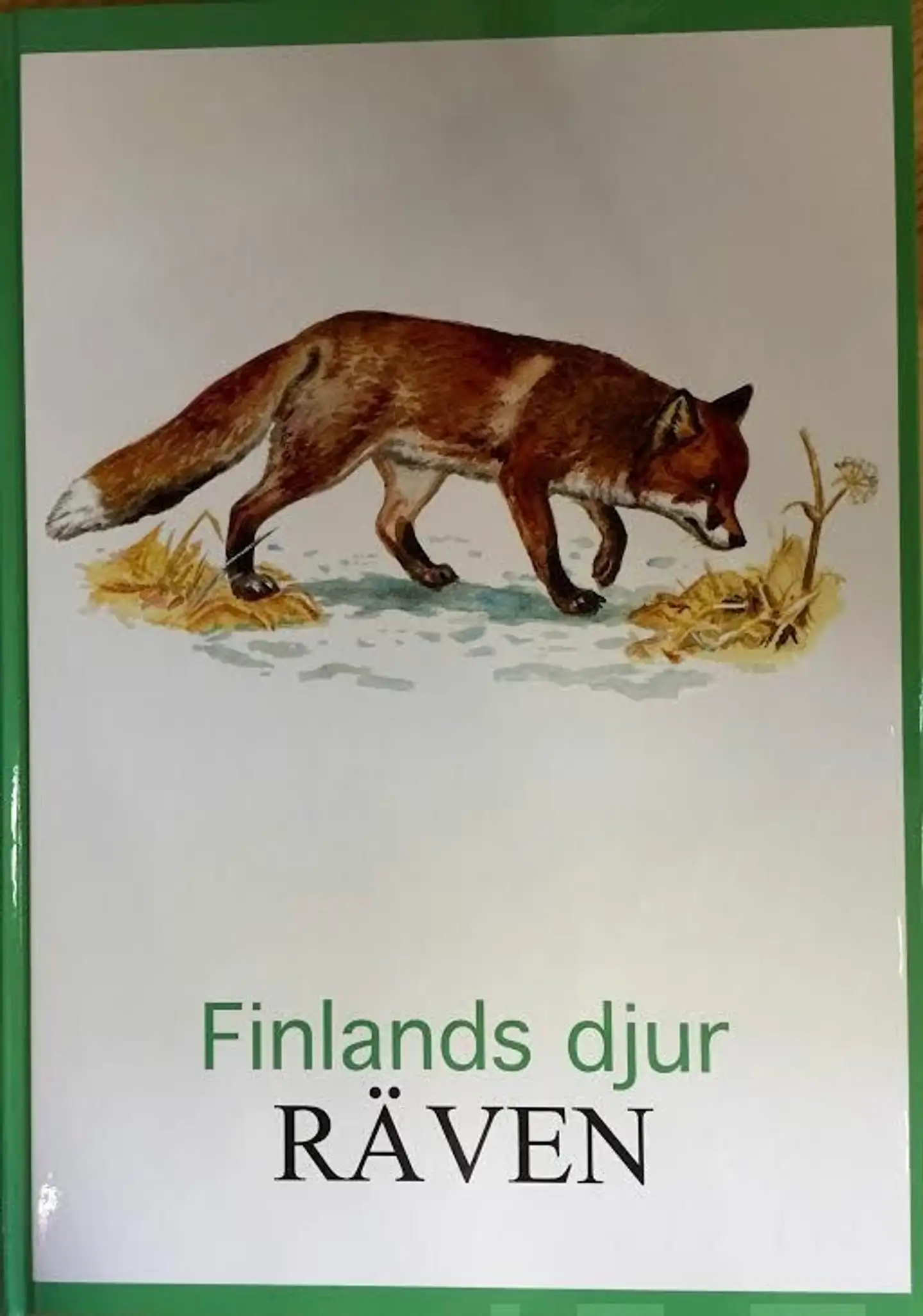 Räven