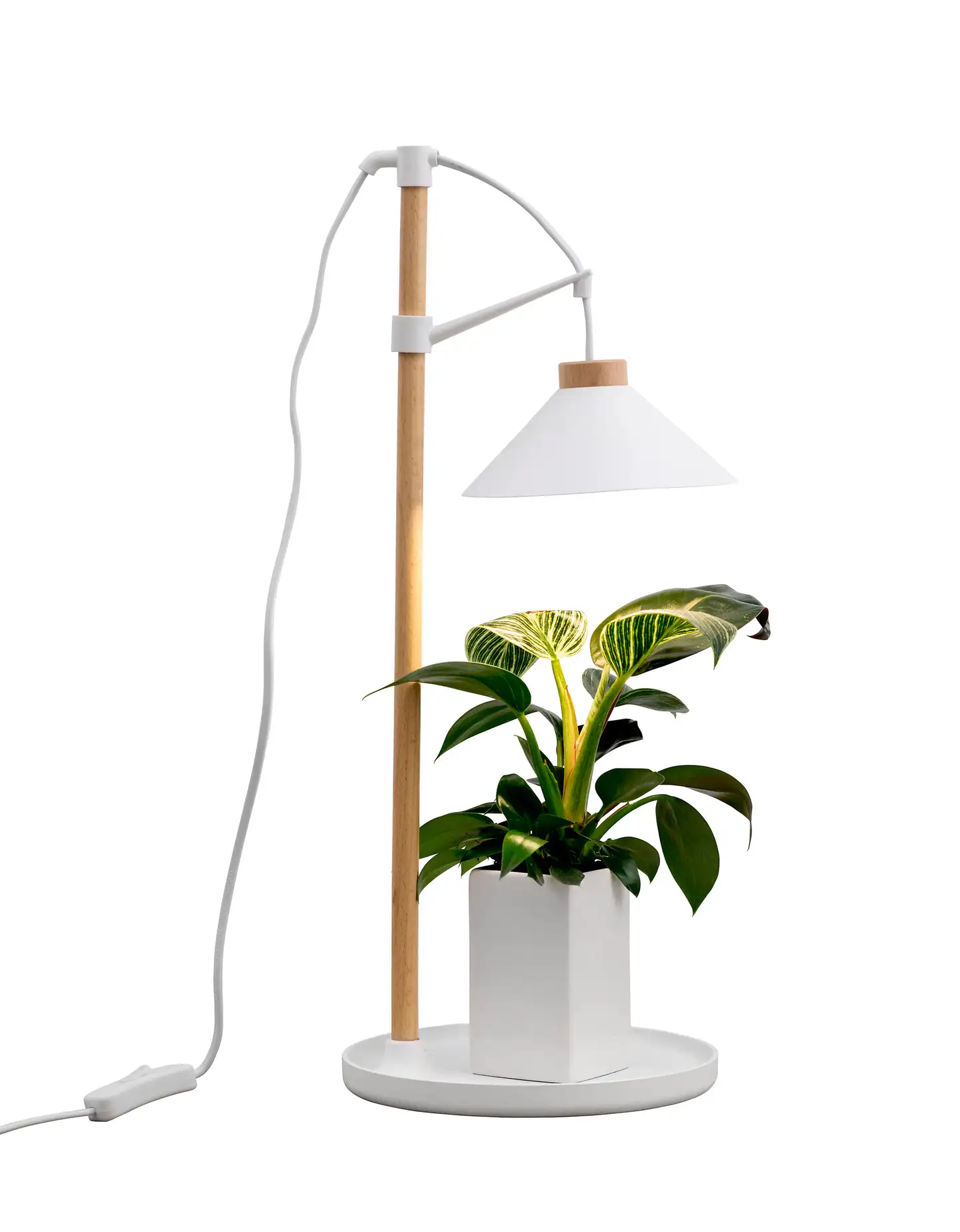 Airam KASVIVALO LILY 9W/940 550LM - 4