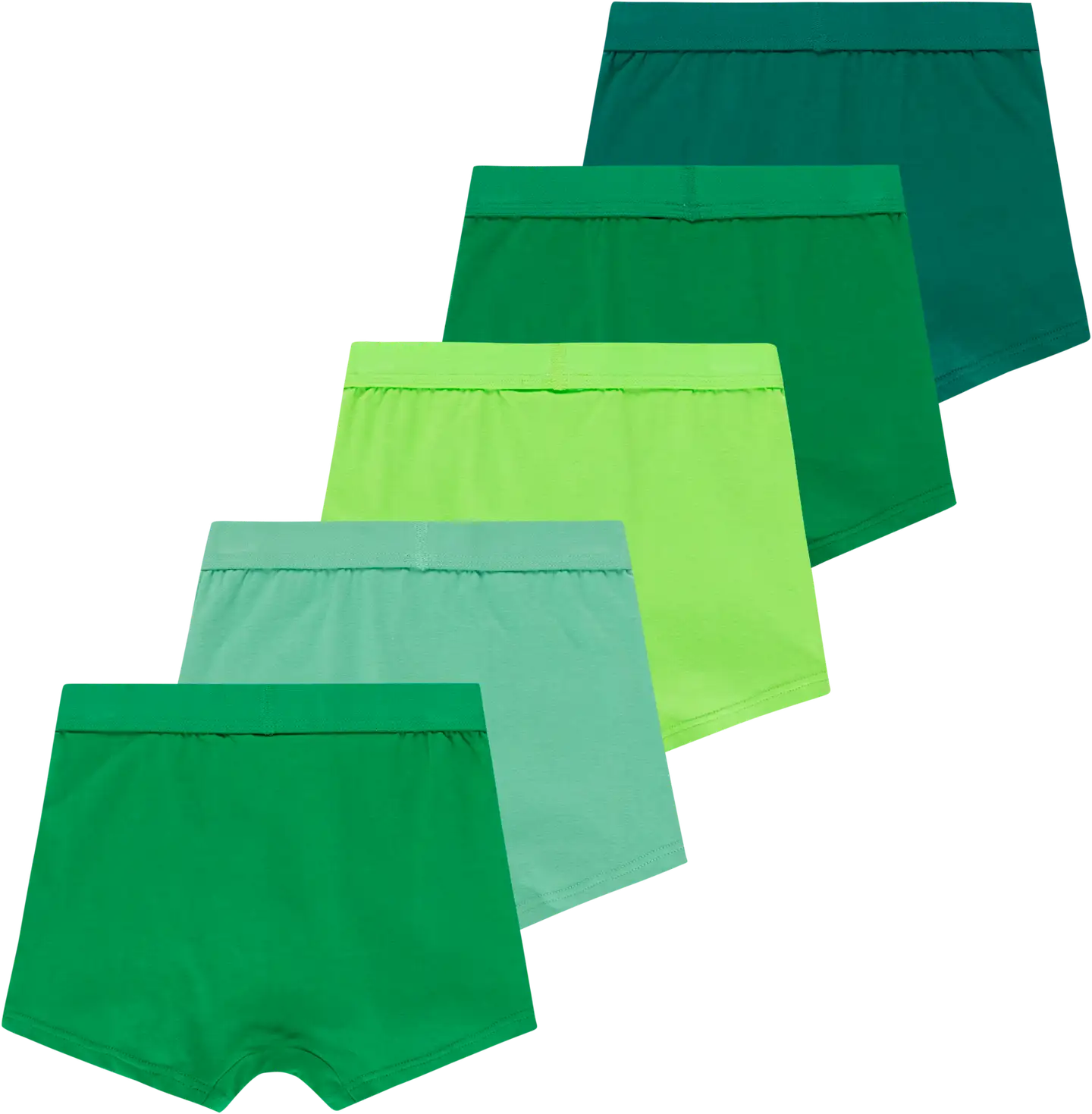 House lasten bokserit 231H082502 5-pack - green multicolor - 2