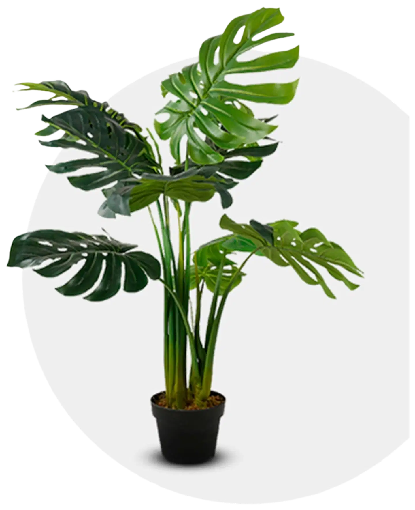 Lykke tekokasvi monstera plant 115cm - 2