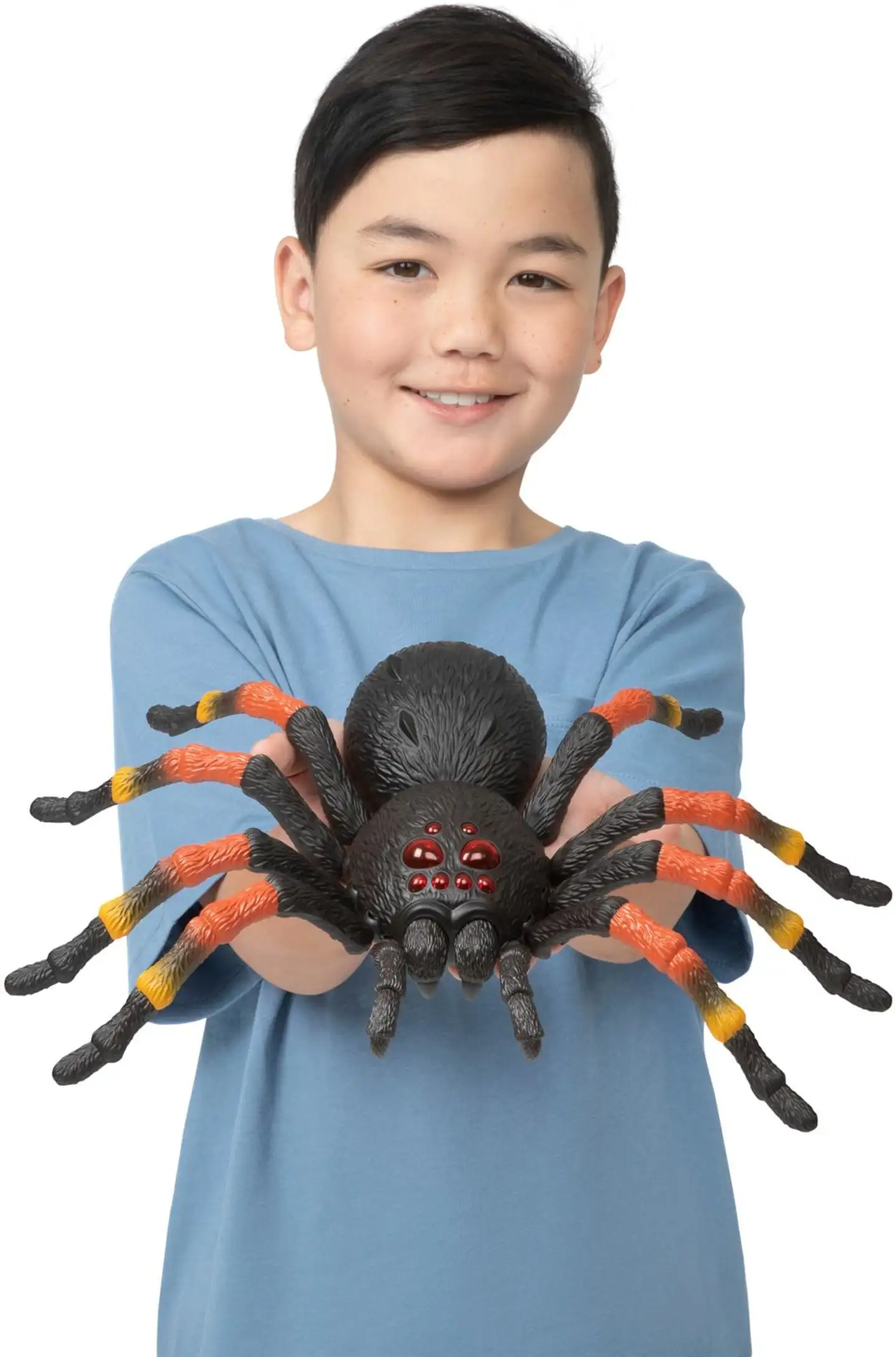 Giant Tarantula S1 - 4