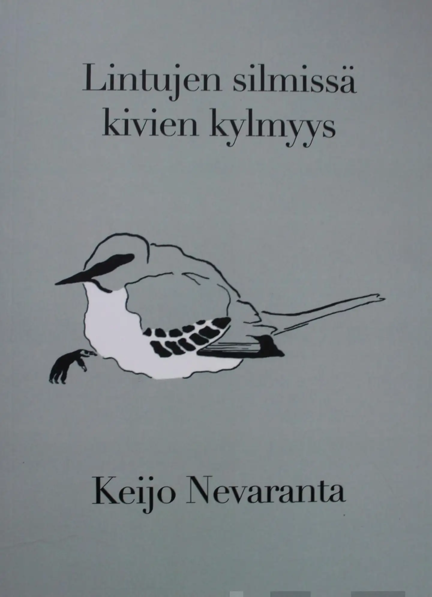 Nevaranta, Lintujen silmissä kivien kylmyys
