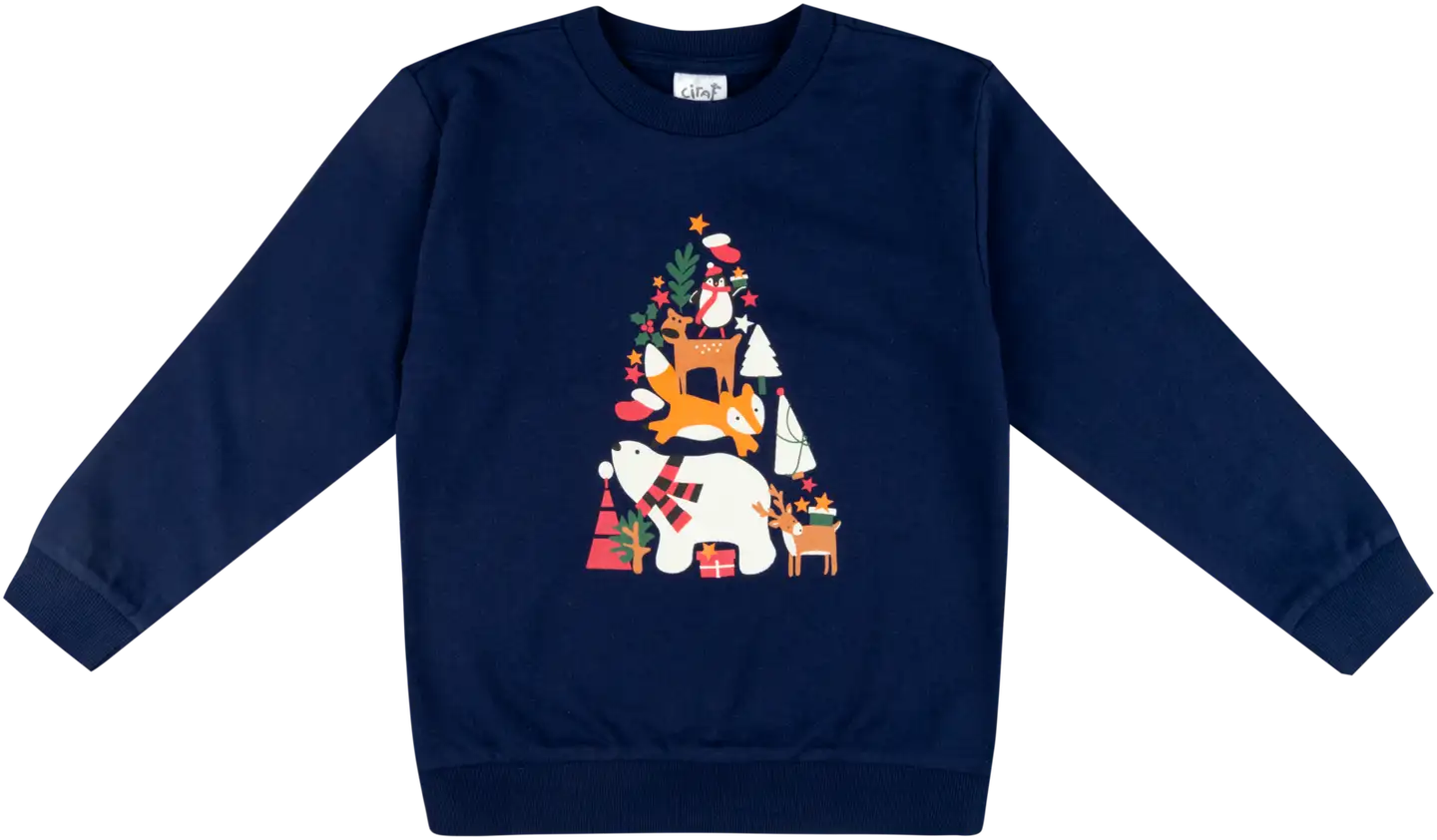 Ciraf lasten collegepusero 25PC254021 - 19-3932tcx naval academy - 1