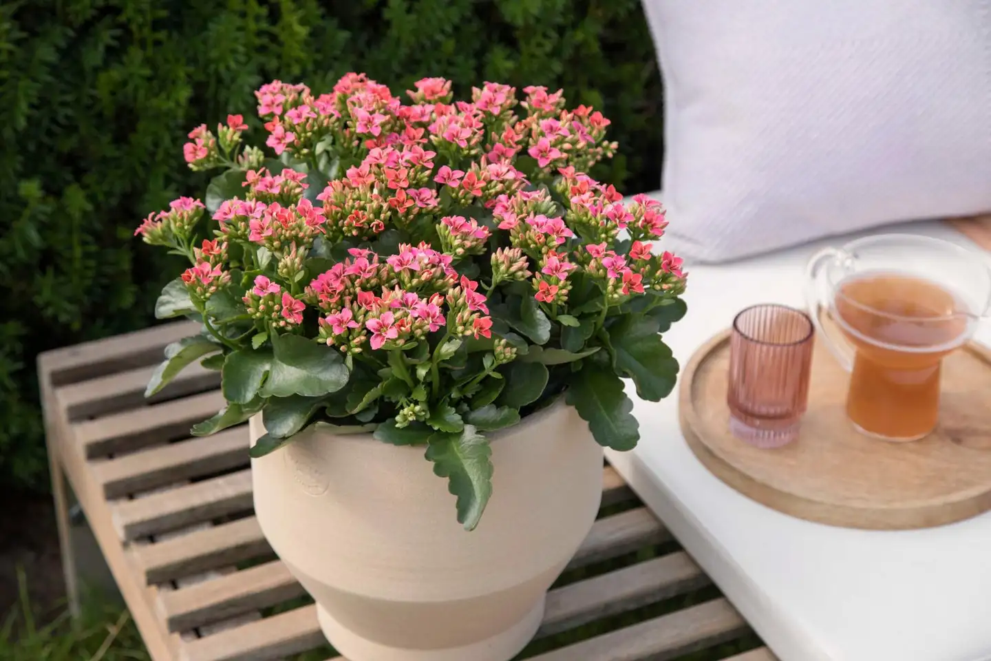 Patiotulilatva - 4