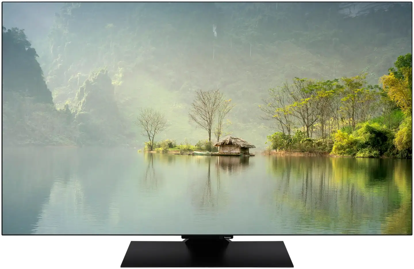 Panasonic 65" 4K UHD OLED TV TV-65Z80AEZ - 4