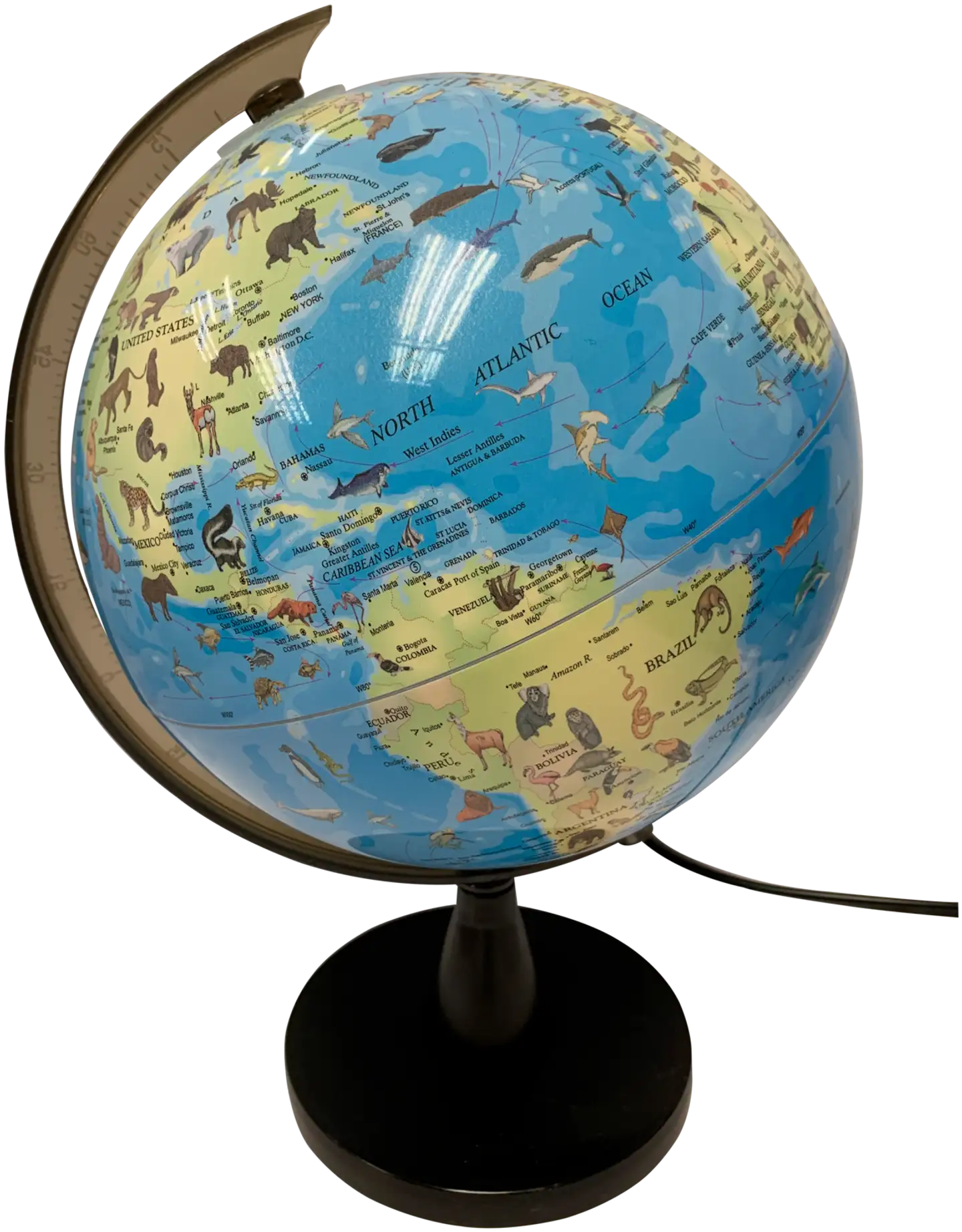 Science maapallo 20cm