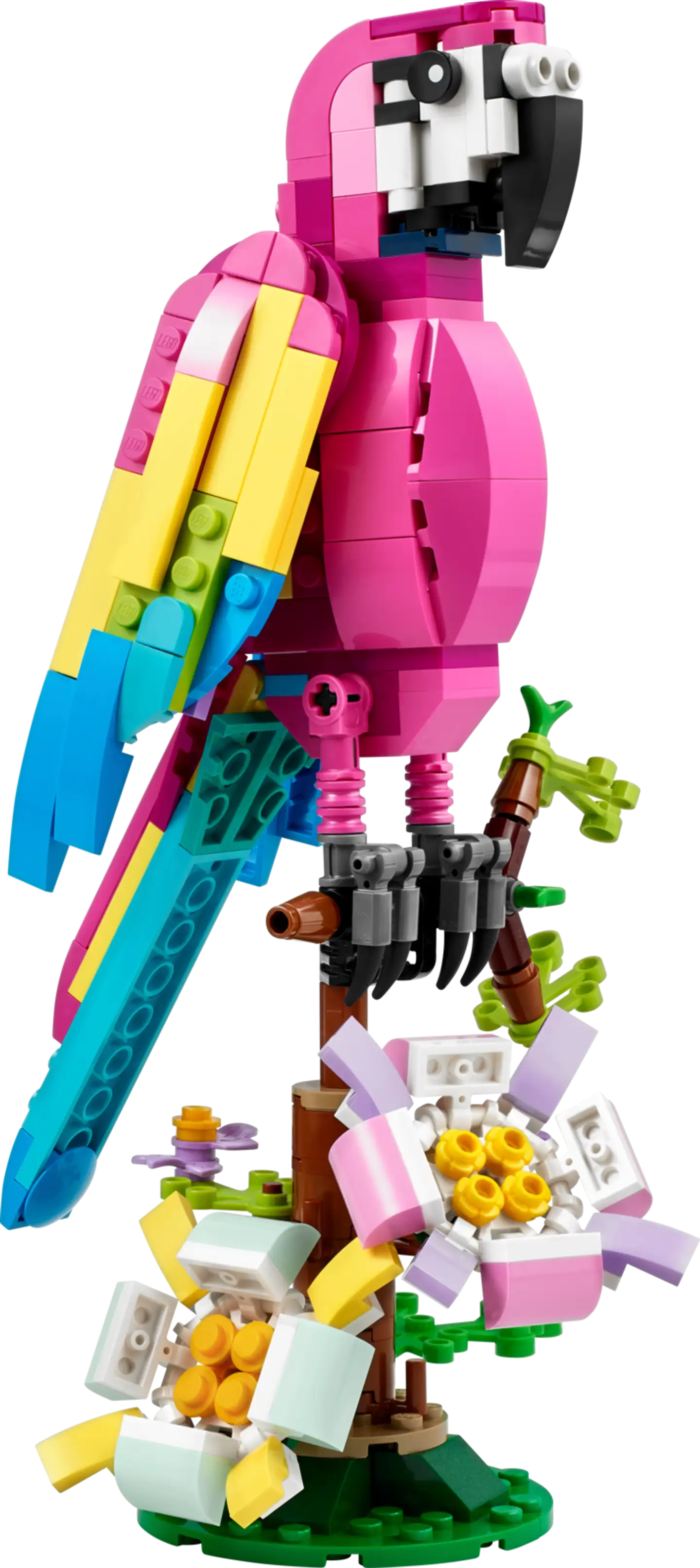 LEGO Creator 31144 Eksoottinen pinkki papukaija - 5