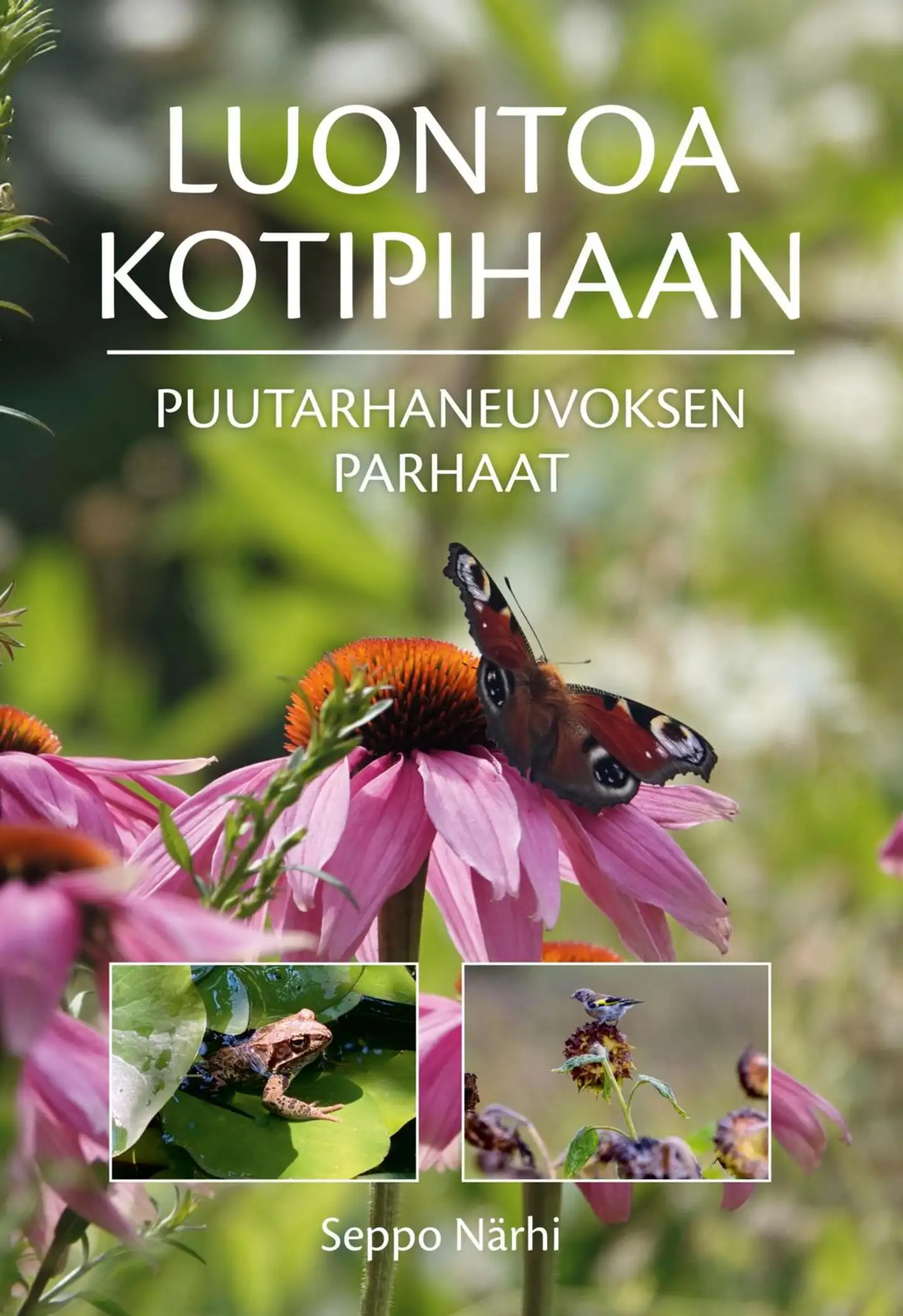 Närhi, Luontoa kotipihaan - Puutarhaneuvoksen vinkit