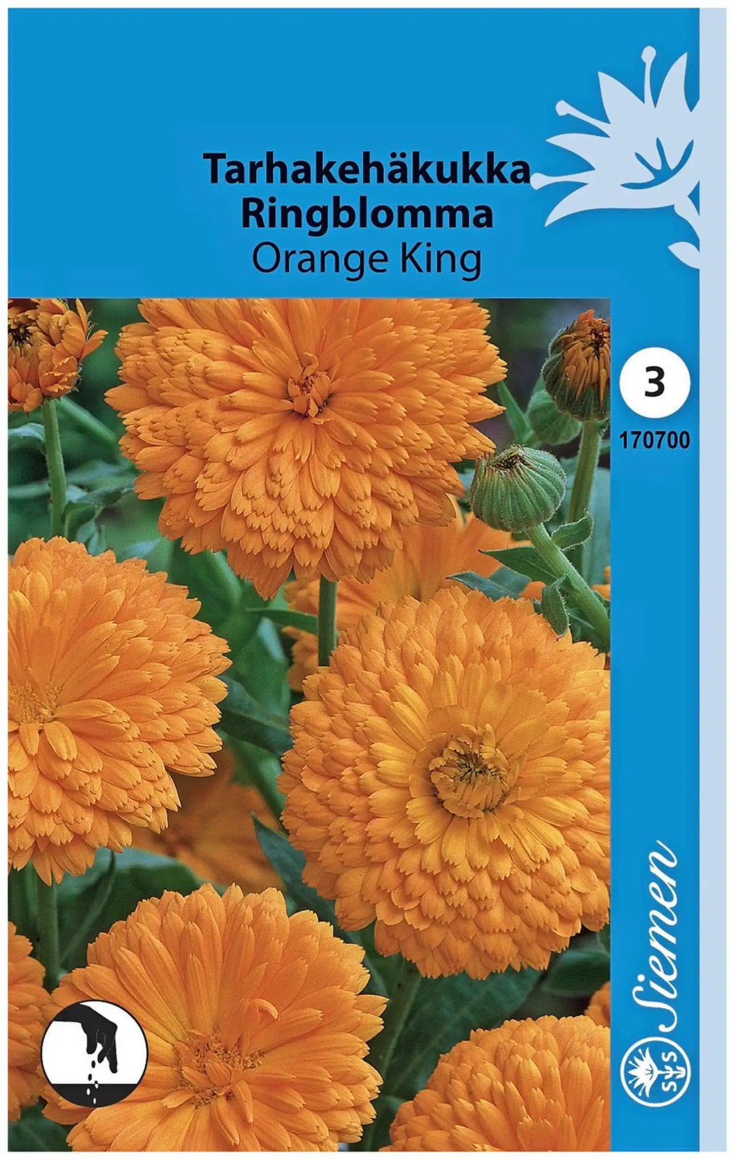 Tarhakehäkukka Orange King