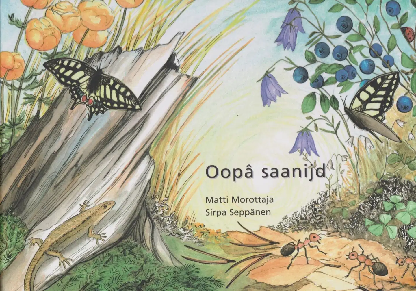 Morottaja, Oopa saanijd - tavalumoseh säänih anaraskielan