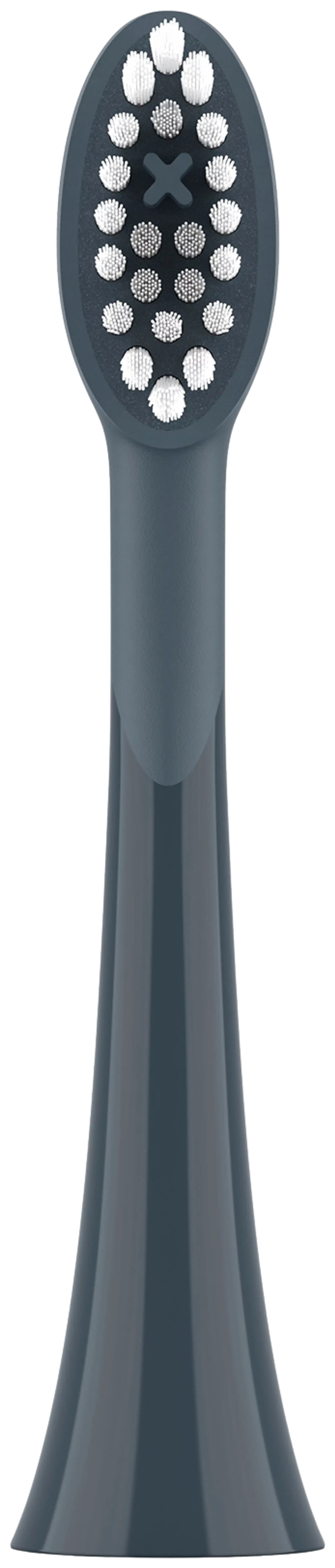 Ordo Sonic -harjaspäät, hiili - 4 kpl - 1