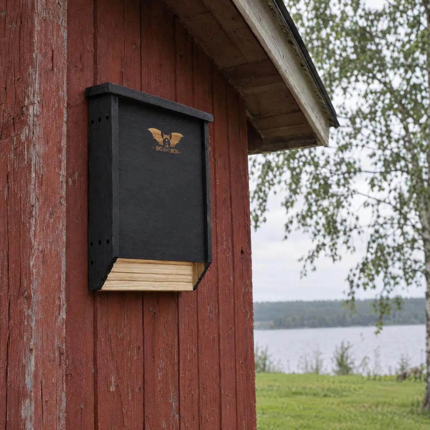 WildYard Big Bat Box lepakkopönttö, 2 kammiota, setripuu, musta - 2