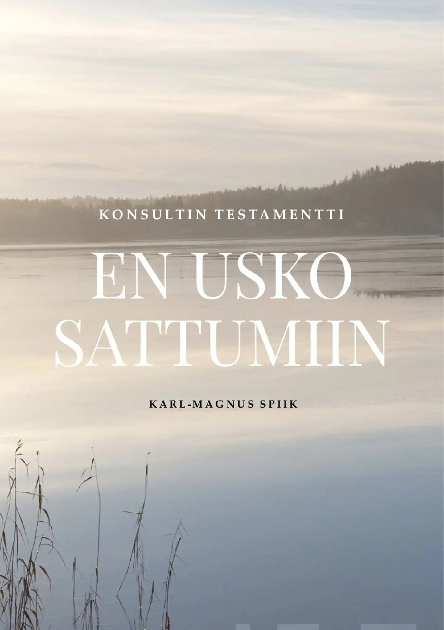 Spiik, En usko sattumiin - Konsultin testamentti