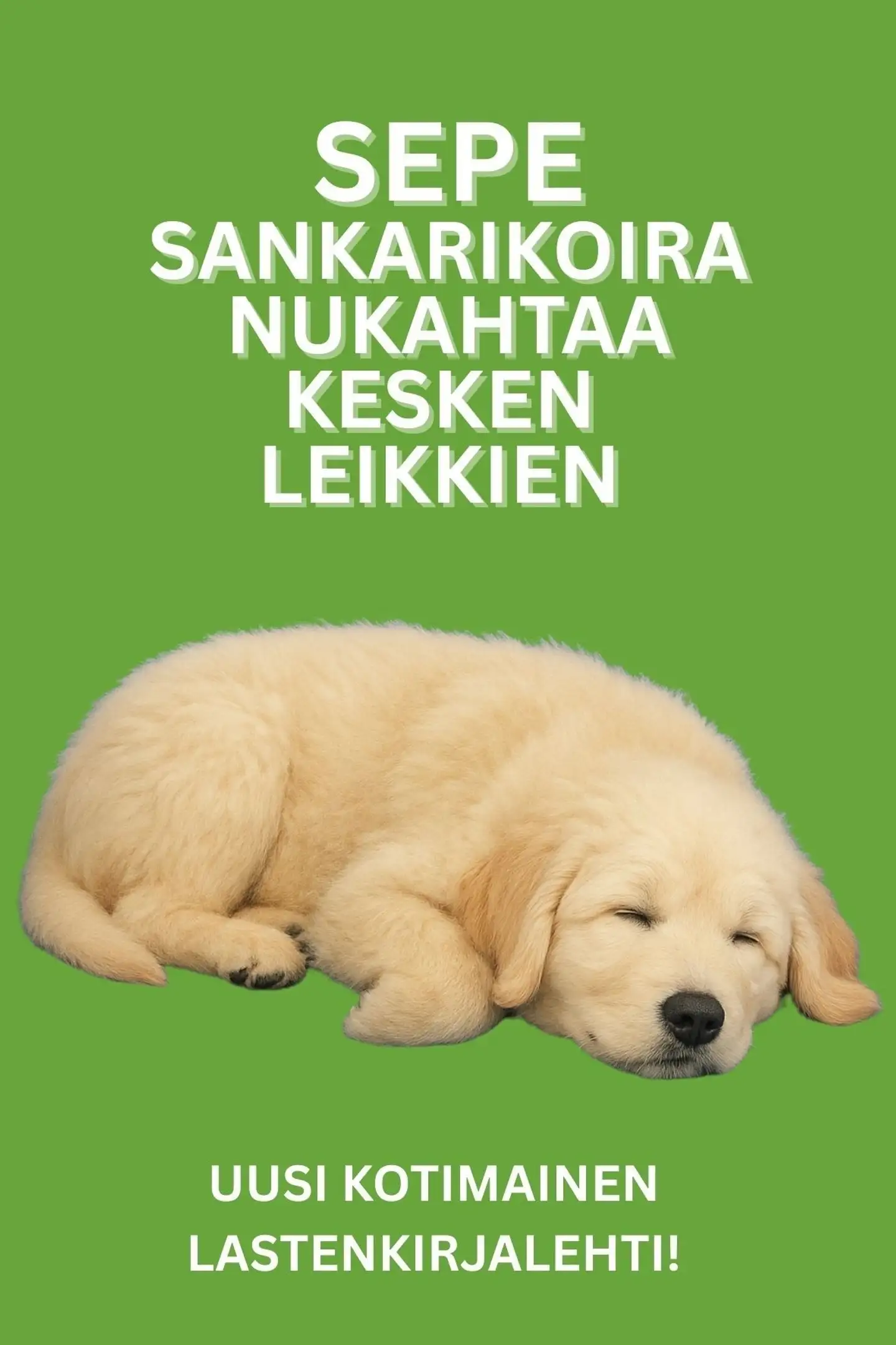 Mäkijärvi, Sepe Sankarikoira nukahtaa kesken leikkien