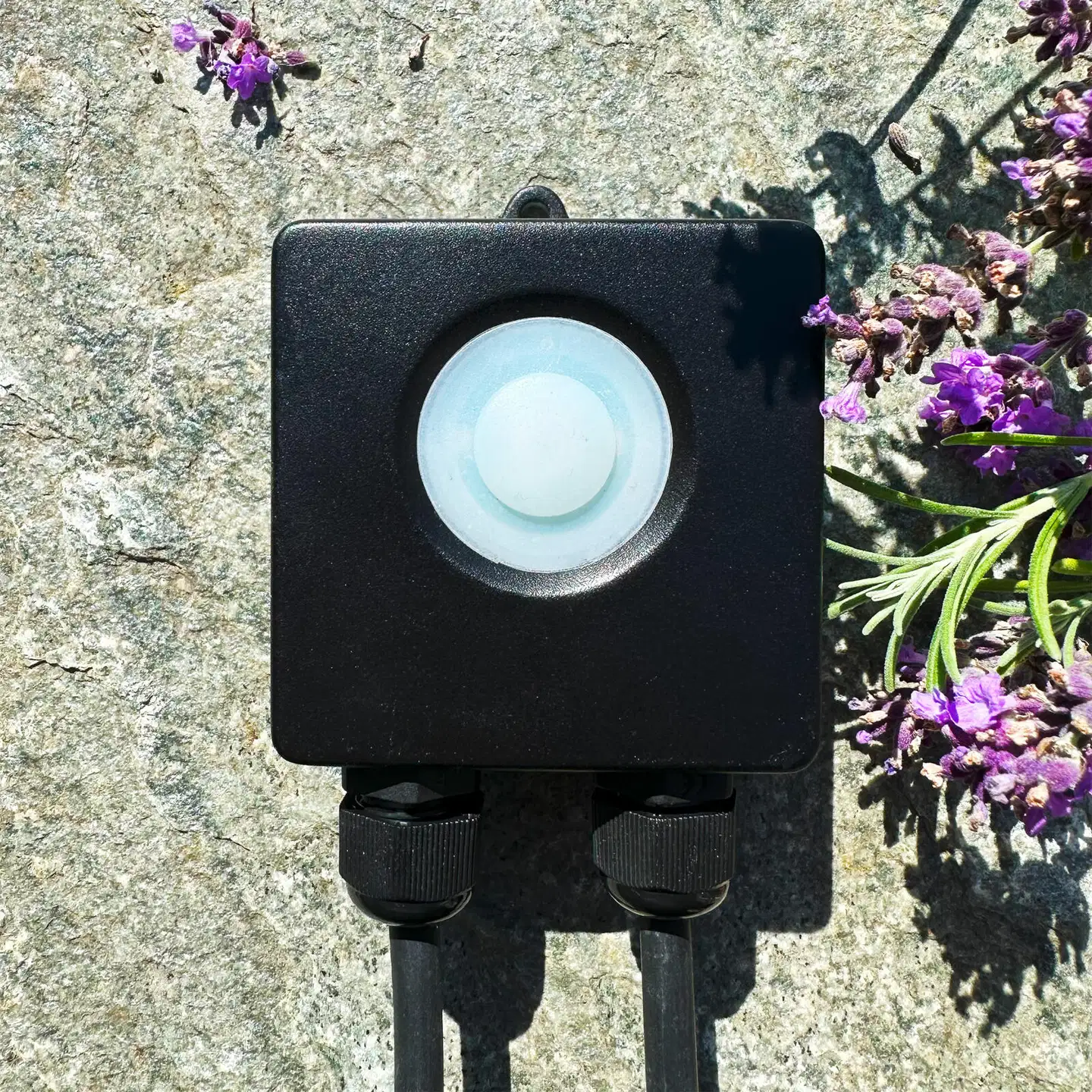 LightsOn ohjausyksikkö Smart Control - 2